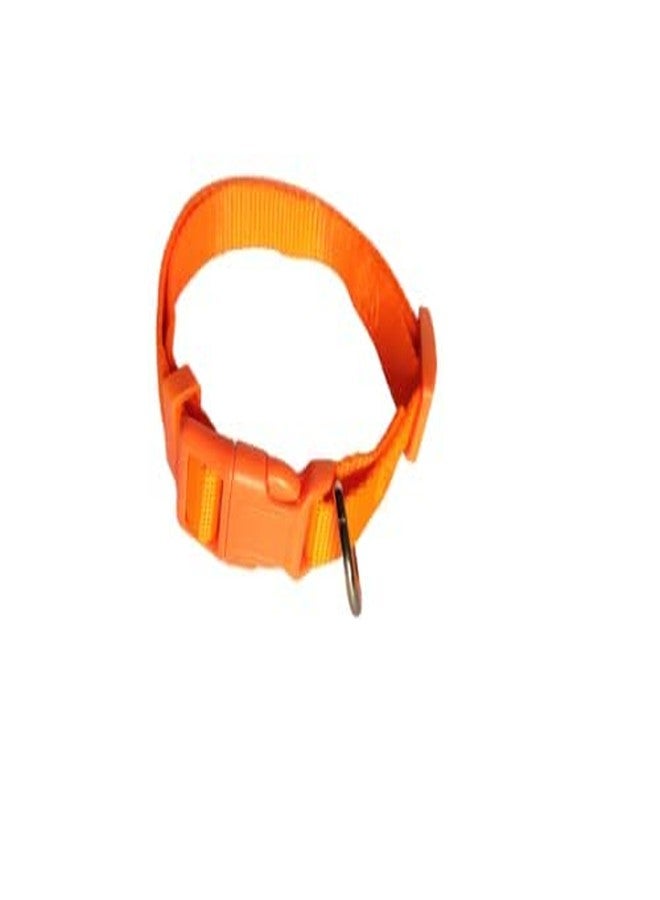 Pups&Pets 10MM Nylon Plain Strip Pattern Heavy Hook Leash with Adjustable Buckle Neck Collar Belt Ideal for Outdoor Training/Walking Dogs and Puppies (Orange) - Image 2
